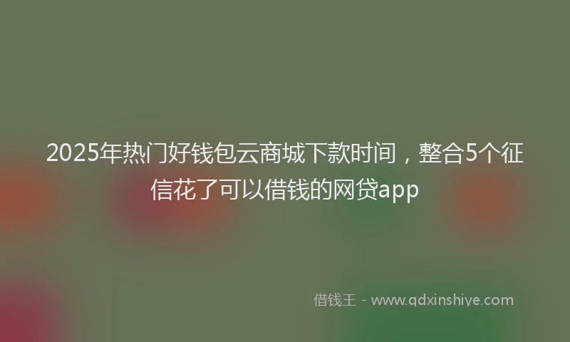 2025年热门好钱包云商城下款时间，整合5个征信花了可以借钱的网贷app
