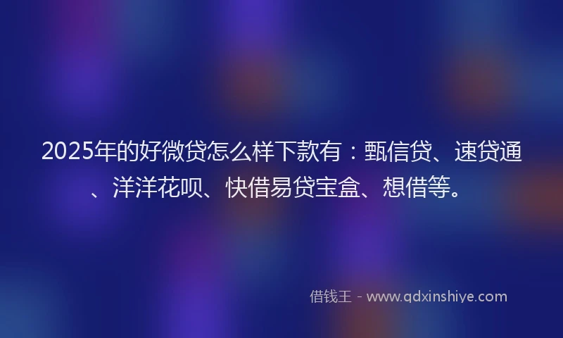 2025年的好微贷怎么样下款有：甄信贷、速贷通、洋洋花呗、快借易贷宝盒、想借等。