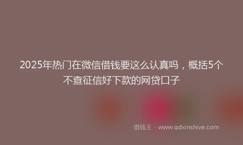 2025年热门在微信借钱要这么认真吗，概括5个不查征信好下款的网贷口子
