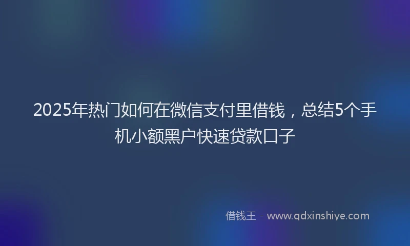 2025年热门如何在微信支付里借钱，总结5个手机小额黑户快速贷款口子