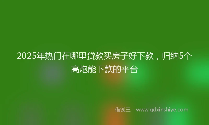 2025年热门在哪里贷款买房子好下款，归纳5个高炮能下款的平台