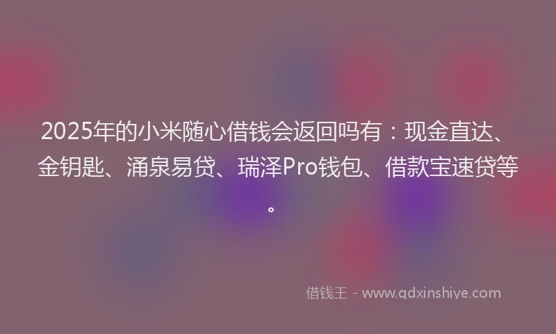2025年的小米随心借钱会返回吗有：现金直达、金钥匙、涌泉易贷、瑞泽Pro钱包、借款宝速贷等。