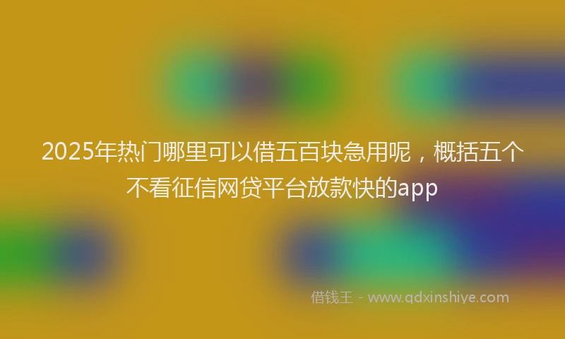 2025年热门哪里可以借五百块急用呢，概括五个不看征信网贷平台放款快的app