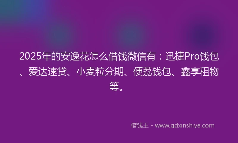 2025年的安逸花怎么借钱微信有：迅捷Pro钱包、爱达速贷、小麦粒分期、便荔钱包、鑫享租物等。