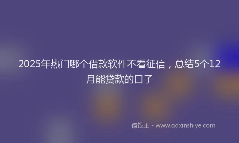 2025年热门哪个借款软件不看征信，总结5个12月能贷款的口子