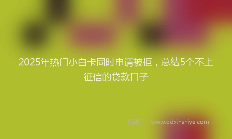 2025年热门小白卡同时申请被拒,总结5个不上征信的贷款口子