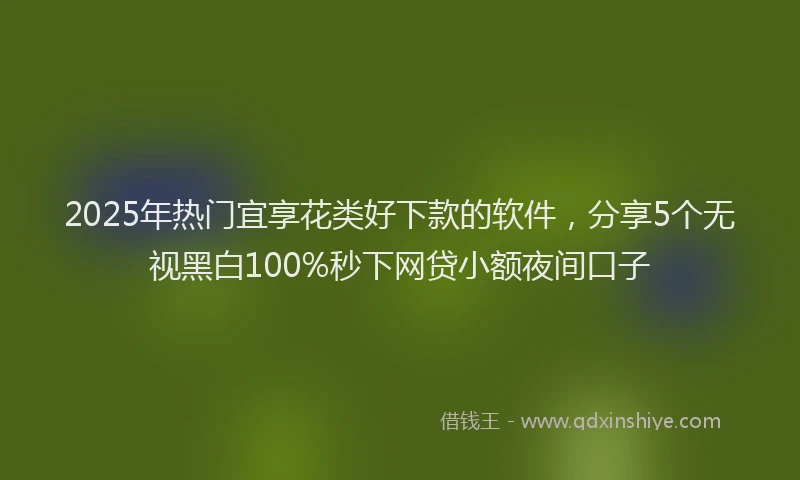 2025年热门宜享花类好下款的软件,分享5个无视黑白100%秒下网贷小额夜间口子