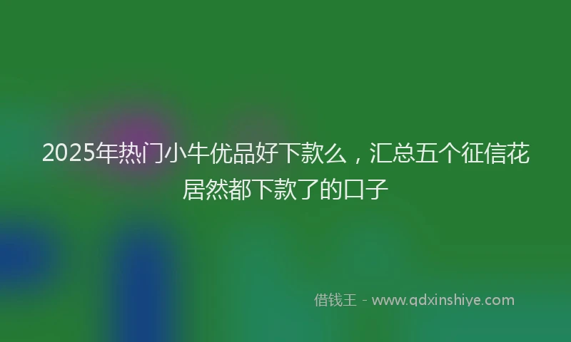 2025年热门小牛优品好下款么,汇总五个征信花居然都下款了的口子