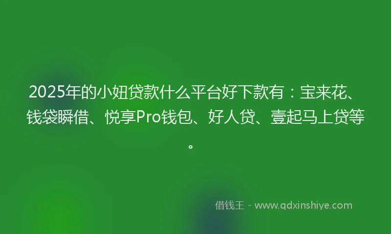 2025年的小妞贷款什么平台好下款有：宝来花、钱袋瞬借、悦享Pro钱包、好人贷、壹起马上贷等。
