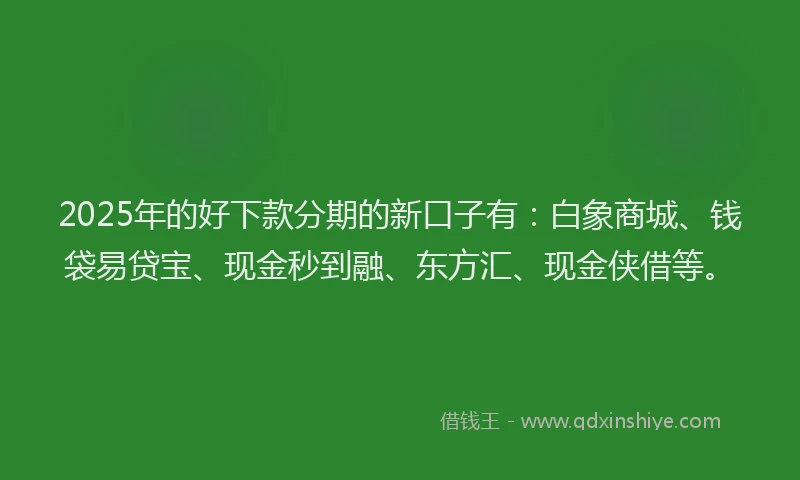 2025年的好下款分期的新口子有：白象商城、钱袋易贷宝、现金秒到融、东方汇、现金侠借等。