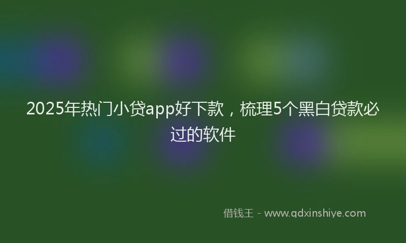 2025年热门小贷app好下款，梳理5个黑白贷款必过的软件