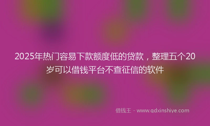 2025年热门容易下款额度低的贷款，整理五个20岁可以借钱平台不查征信的软件