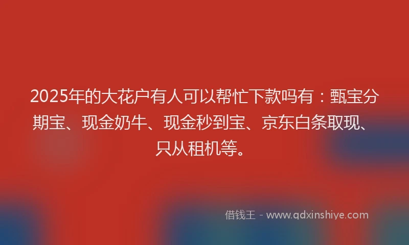 2025年的大花户有人可以帮忙下款吗有：甄宝分期宝、现金奶牛、现金秒到宝、京东白条取现、只从租机等。