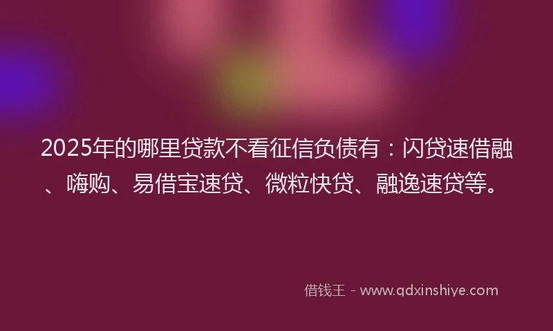 2025年的哪里贷款不看征信负债有：闪贷速借融、嗨购、易借宝速贷、微粒快贷、融逸速贷等。