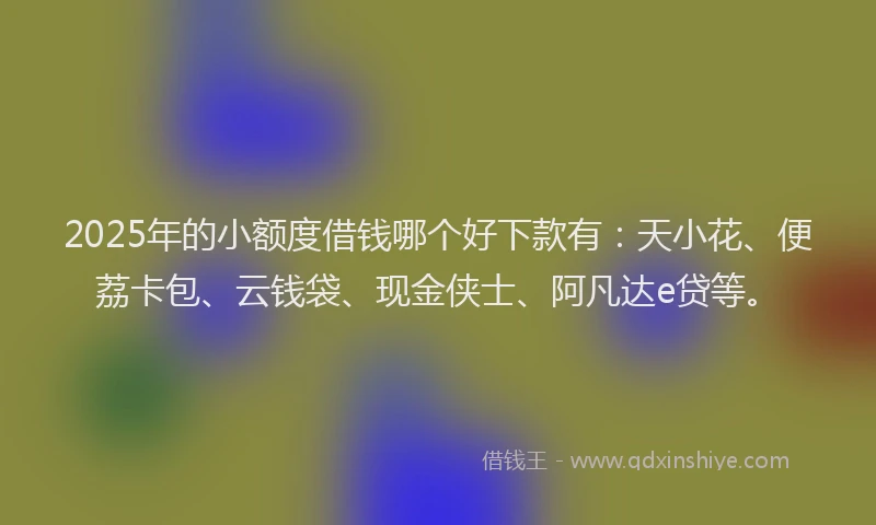 2025年的小额度借钱哪个好下款有：天小花、便荔卡包、云钱袋、现金侠士、阿凡达e贷等。