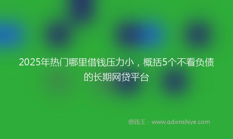 2025年热门哪里借钱压力小，概括5个不看负债的长期网贷平台