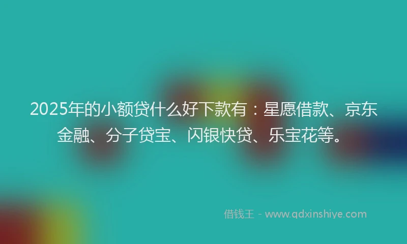 2025年的小额贷什么好下款有：星愿借款、京东金融、分子贷宝、闪银快贷、乐宝花等。