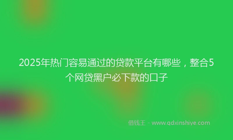 2025年热门容易通过的贷款平台有哪些,整合5个网贷黑户必下款的口子