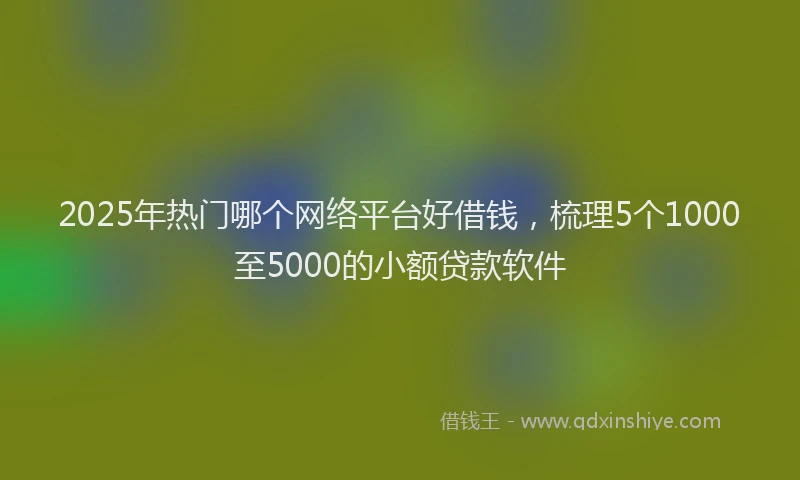 2025年热门哪个网络平台好借钱，梳理5个1000至5000的小额贷款软件