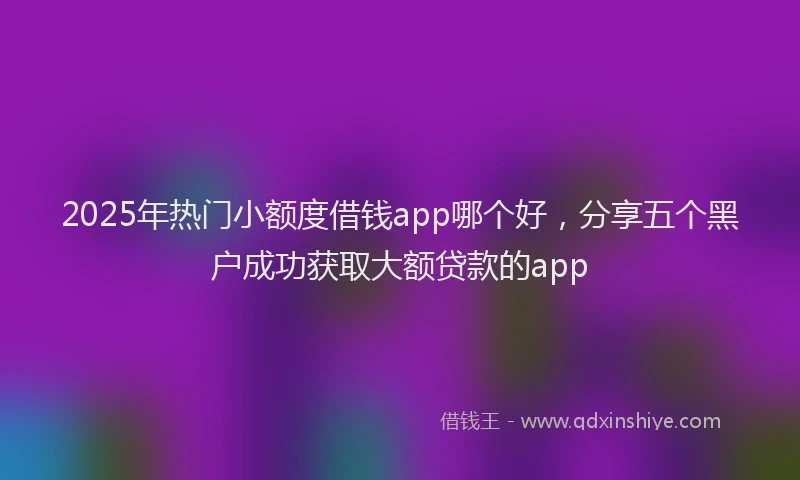 2025年热门小额度借钱app哪个好，分享五个黑户成功获取大额贷款的app