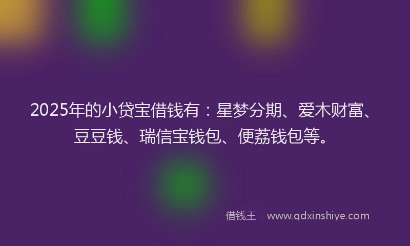 2025年的小贷宝借钱有：星梦分期、爱木财富、豆豆钱、瑞信宝钱包、便荔钱包等。