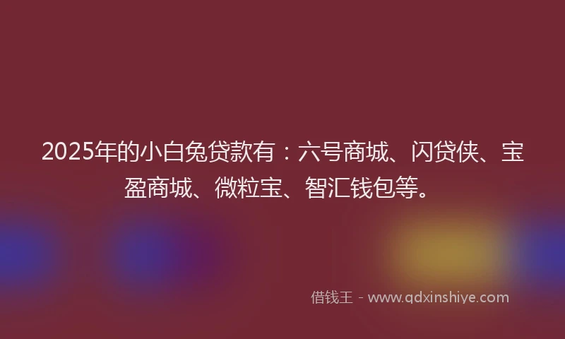 2025年的小白兔贷款有：六号商城、闪贷侠、宝盈商城、微粒宝、智汇钱包等。