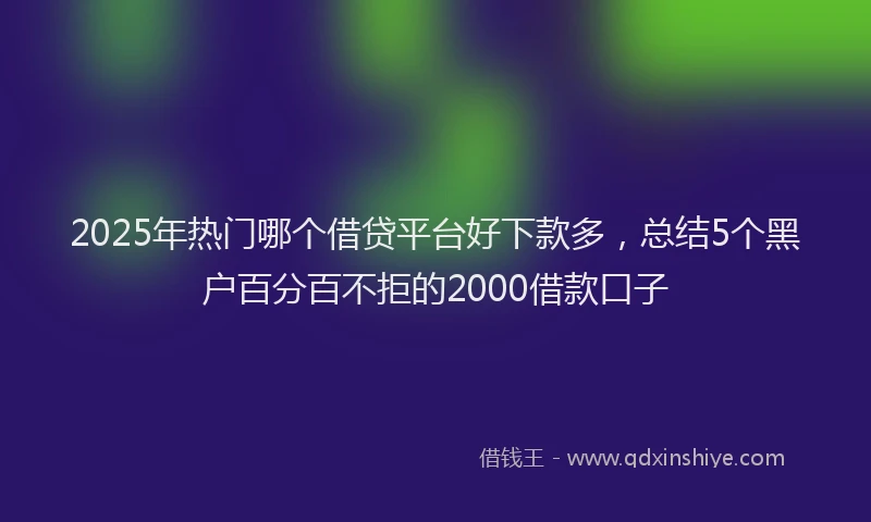2025年热门哪个借贷平台好下款多，总结5个黑户百分百不拒的2000借款口子