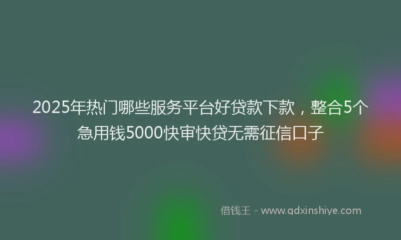 2025年热门哪些服务平台好贷款下款，整合5个急用钱5000快审快贷无需征信口子