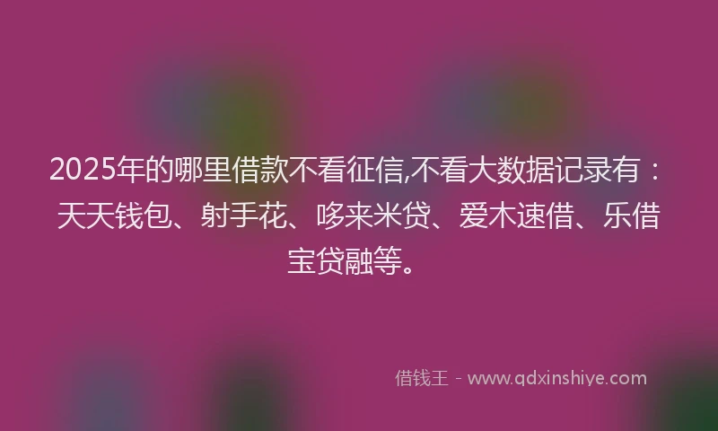 2025年的哪里借款不看征信,不看大数据记录有：天天钱包、射手花、哆来米贷、爱木速借、乐借宝贷融等。