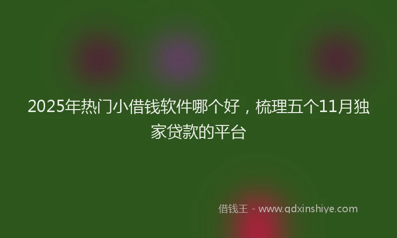 2025年热门小借钱软件哪个好，梳理五个11月独家贷款的平台