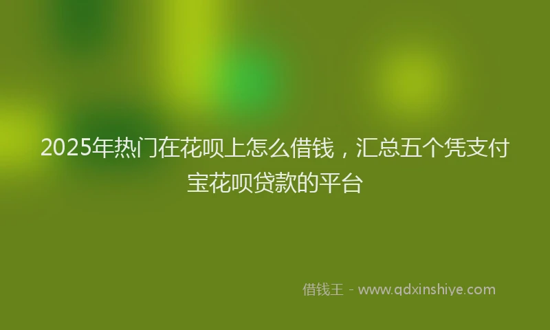 2025年热门在花呗上怎么借钱，汇总五个凭支付宝花呗贷款的平台