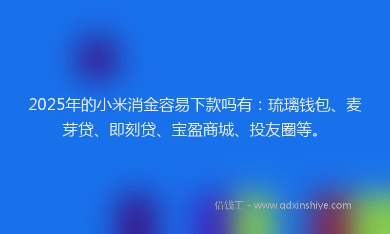 2025年的小米消金容易下款吗有：琉璃钱包、麦芽贷、即刻贷、宝盈商城、投友圈等。