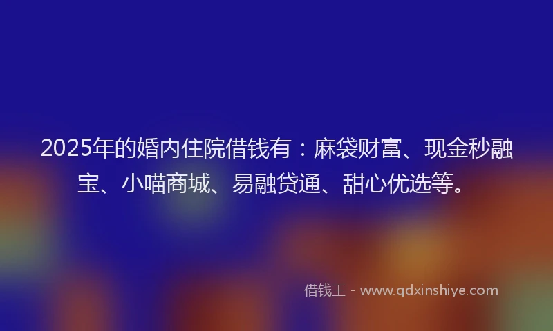 2025年的婚内住院借钱有：麻袋财富、现金秒融宝、小喵商城、易融贷通、甜心优选等。