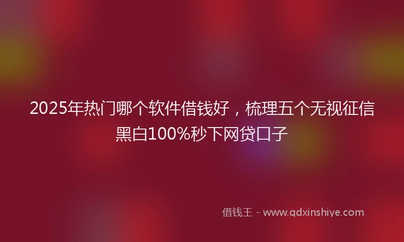 2025年热门哪个软件借钱好，梳理五个无视征信黑白100%秒下网贷口子