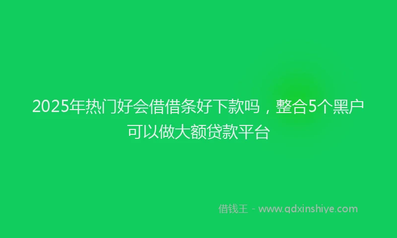 2025年热门好会借借条好下款吗，整合5个黑户可以做大额贷款平台