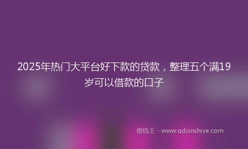 2025年热门大平台好下款的贷款，整理五个满19岁可以借款的口子