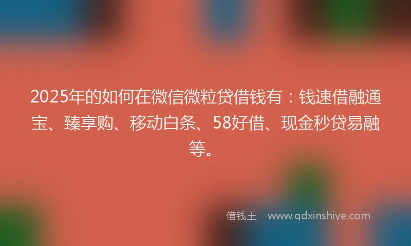 2025年的如何在微信微粒贷借钱有：钱速借融通宝、臻享购、移动白条、58好借、现金秒贷易融等。