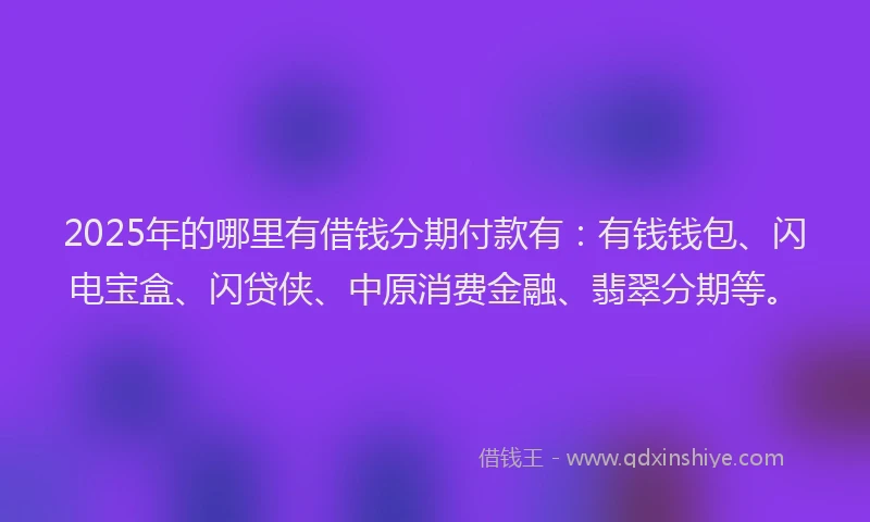 2025年的哪里有借钱分期付款有：有钱钱包、闪电宝盒、闪贷侠、中原消费金融、翡翠分期等。