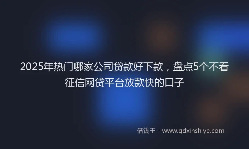 2025年热门哪家公司贷款好下款，盘点5个不看征信网贷平台放款快的口子