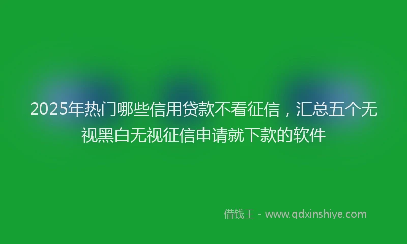 2025年热门哪些信用贷款不看征信，汇总五个无视黑白无视征信申请就下款的软件