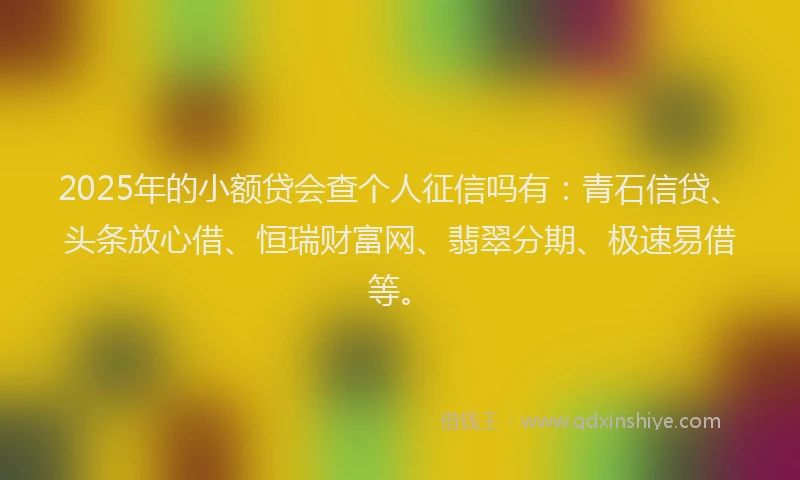 2025年的小额贷会查个人征信吗有：青石信贷、头条放心借、恒瑞财富网、翡翠分期、极速易借等。