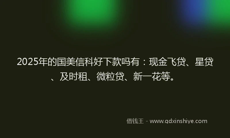 2025年的国美信科好下款吗有：现金飞贷、星贷、及时租、微粒贷、新一花等。