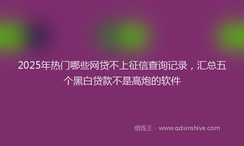 2025年热门哪些网贷不上征信查询记录，汇总五个黑白贷款不是高炮的软件
