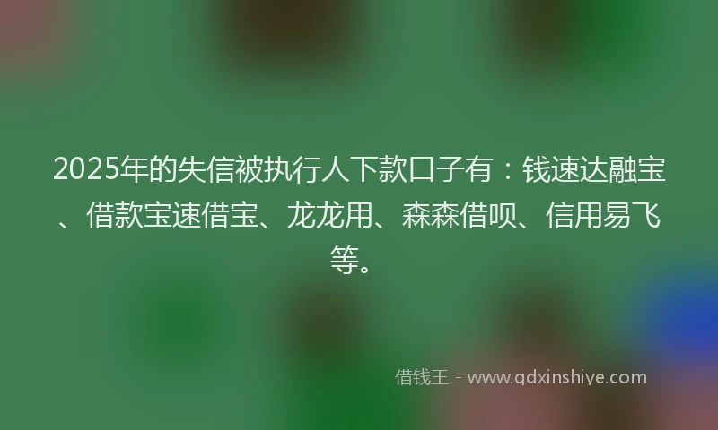 2025年的失信被执行人下款口子有：钱速达融宝、借款宝速借宝、龙龙用、森森借呗、信用易飞等。