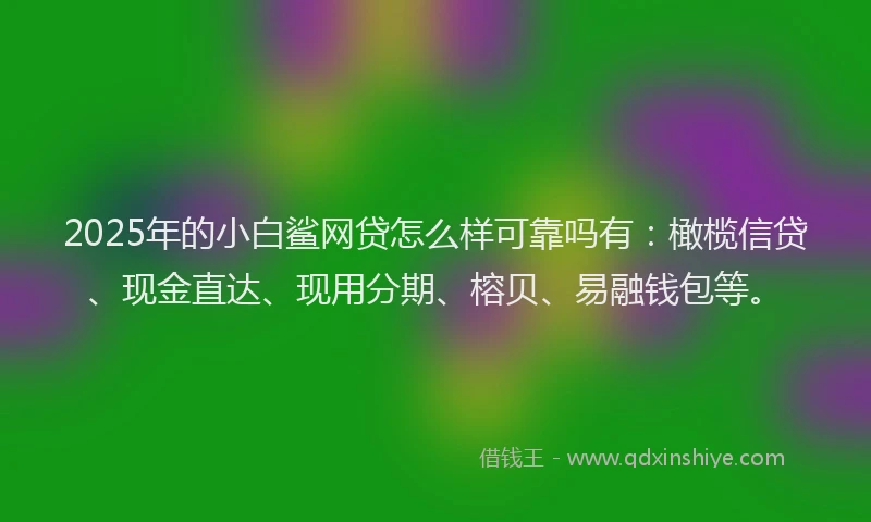 2025年的小白鲨网贷怎么样可靠吗有：橄榄信贷、现金直达、现用分期、榕贝、易融钱包等。