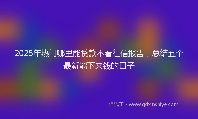 2025年热门哪里能贷款不看征信报告，总结五个最新能下来钱的口子