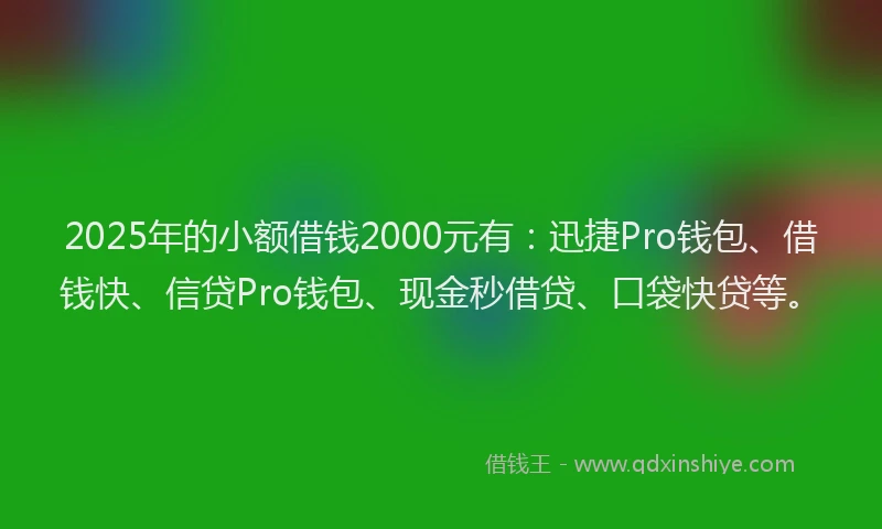 2025年的小额借钱2000元有：迅捷Pro钱包、借钱快、信贷Pro钱包、现金秒借贷、口袋快贷等。