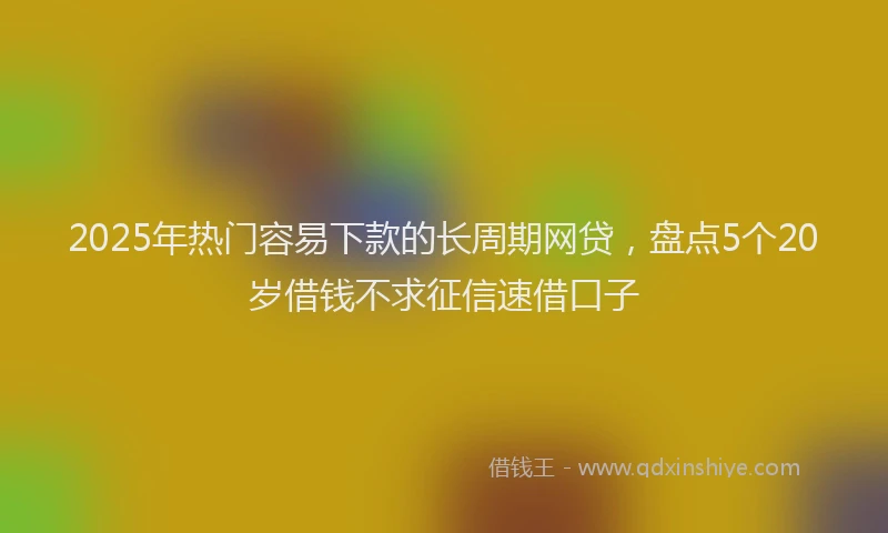 2025年热门容易下款的长周期网贷，盘点5个20岁借钱不求征信速借口子