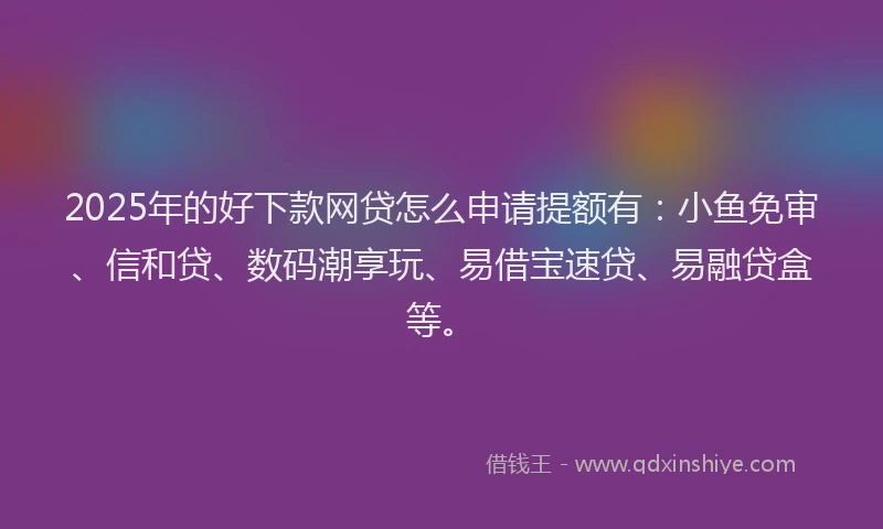 2025年的好下款网贷怎么申请提额有：小鱼免审、信和贷、数码潮享玩、易借宝速贷、易融贷盒等。