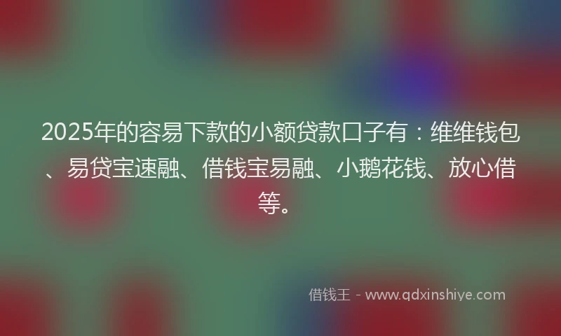 2025年的容易下款的小额贷款口子有：维维钱包、易贷宝速融、借钱宝易融、小鹅花钱、放心借等。